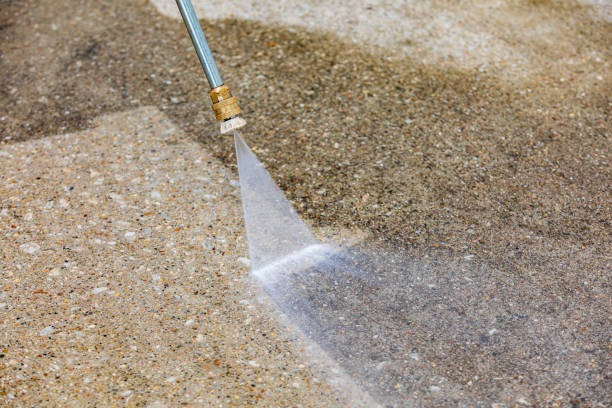 Best Sidewalk and Walkway Cleaning  in Westchase, FL